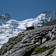 Bernina Trek - Etappe 4: Von Chamanna Coaz nach Chamanna Tschierva