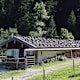 Dalsenrunde