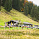 Wanderung zur Dandl Alm von Urschlau