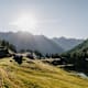 Wanderung zur Duisitzkarseehütte vom Obertal bei Rohrmoos/Schladming