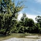 Durch die Leithaauen