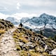 Wanderung zur Düsseldorfer Hütte von Sulden