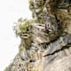 Klettersteig Stuller Wasserfall (D)