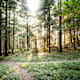 Wanderung zur Enderlinhütte von St. Luzisteig