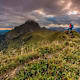 Erlebnisweg „Natur-Spuren" am Wurbauerkogel