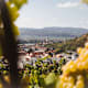 Welterbesteig Wachau - Etappe 1: Von Krems nach Dürnstein