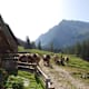 Karwendel-Höhenweg, Etappe 6: Vom Hallerangerhaus nach Scharnitz