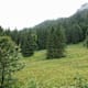 Wanderung zur Fritz-Putz-Hütte von Hohenschwangau