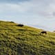 Salzburger Almenweg - Etappe 24: Von St. Martin nach Werfenweng