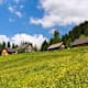 Gammeringalmen von der Wurzeralm Bergstation zur Talstation
