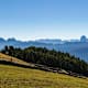Garn zum Königsanger und Radlsee
