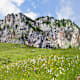 Gipfeltour zur Roten Wand