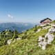 Wanderung zur Gmundner Hütte vom Ende der Traunsteinstraße (Gmunden)