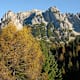 Mandlkogel von Pommer