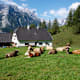 Gowilalm von Oberweng
