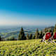 Wanderung zur Grünburger Hütte von Steinbach/Rieserberg