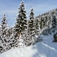 Rund um den Grünstein
