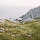 Dachstein Sonnen-Runde - Etappe 3: Vom Guttenberghaus nach Ramsau-Ort
