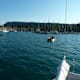 St. Georgen - Attersee