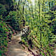Hagenbachklamm und Tulbinger Kogel