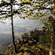 Haller und Thaurer Zunterkopf