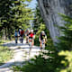 Hinauf zum Geroldsee
