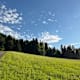 Von Hittisau zu den Hinterbergalpen