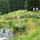 Hochbühelweg bei Peilstein im Mühlviertel
