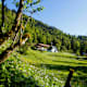 Hochfelln Runde