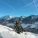 Höhen-Schneeschuhtour Hochgrat-Imberg-Gebiet