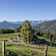 Wanderung zur Hoisnrad Alm von Bad Ischl