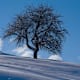 Winterwanderung von Aldrans nach Rinn/Judenstein