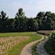 K2 - Naturfreunde-Wanderweg ab Katsdorf