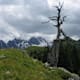 Kammweg im Fotschertal