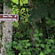 Karl Pilz Rundwanderweg Bad Goisern