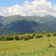 Kircher Alm
