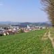 Kirsteig