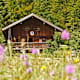 Wanderung zur Kloaschaualm von Bayrischzell