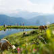 Zum Knappensee auf der Leppner Alm