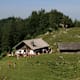 Kohleralm Wanderung