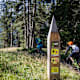 Kreuzmoos Trail
