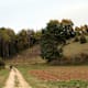 Von Untermarchtal nach Lauterach
