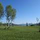 Libellenweg bei Oberhofen am Irrsee