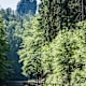 Wanderung von Königstein über den Lilienstein nach Kurort Rathen