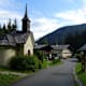 Zu Kühen und Buttermilch auf die Litzlalm