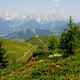 WaiWi - Etappe 3: St. Wildseeloder - Brent - Fieberbrunn