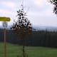 Luka-Weg im Mühlviertel