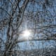 Maria Larch Runde im Winter