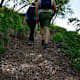 Im Wald der Kinder