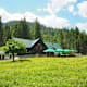 Durch das Gleirschtal zur Möslalm bei Scharnitz